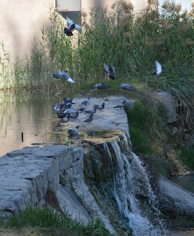 No s'ha trobat l'arxiu